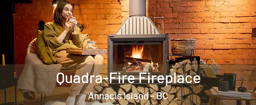  Quadra-Fire Fireplace Annacis Island - BC