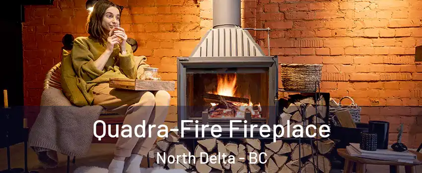  Quadra-Fire Fireplace North Delta - BC