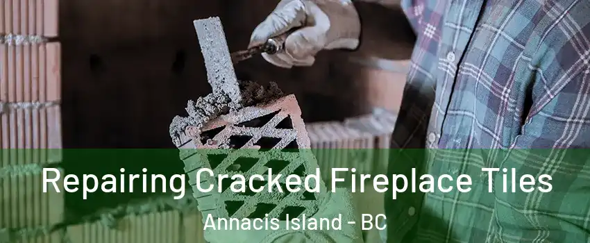  Repairing Cracked Fireplace Tiles Annacis Island - BC