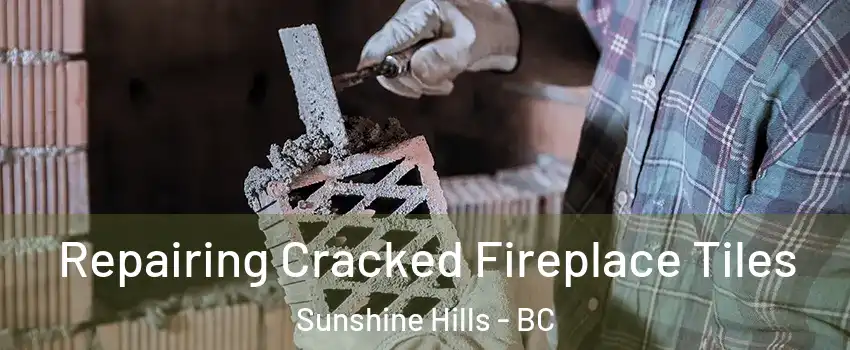  Repairing Cracked Fireplace Tiles Sunshine Hills - BC