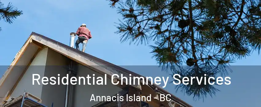  Residential Chimney Services Annacis Island - BC