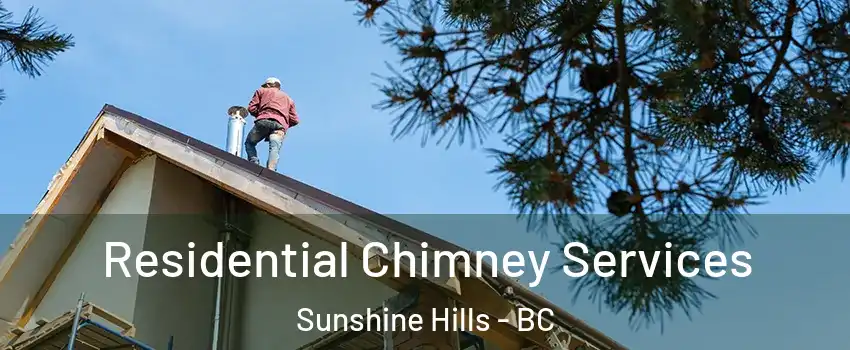  Residential Chimney Services Sunshine Hills - BC