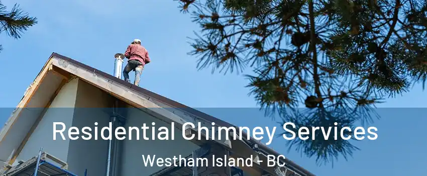  Residential Chimney Services Westham Island - BC