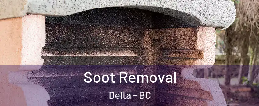  Soot Removal Delta - BC