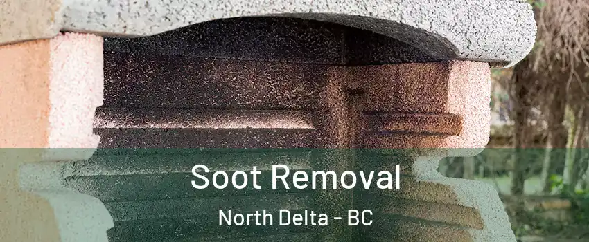  Soot Removal North Delta - BC