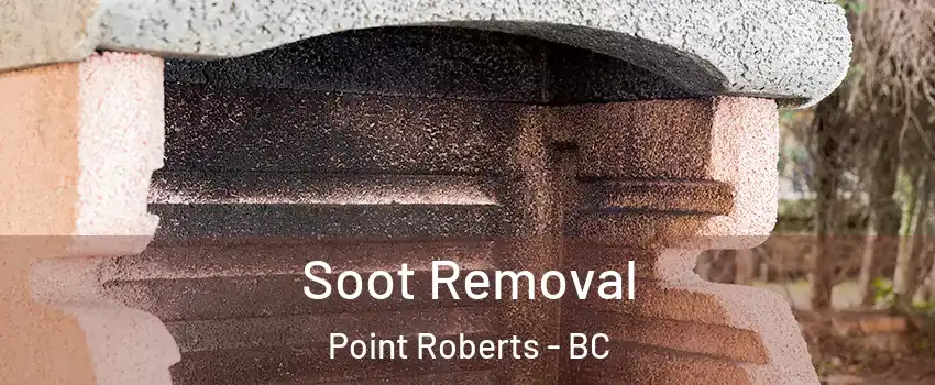  Soot Removal Point Roberts - BC