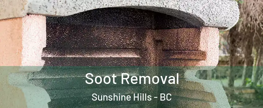  Soot Removal Sunshine Hills - BC