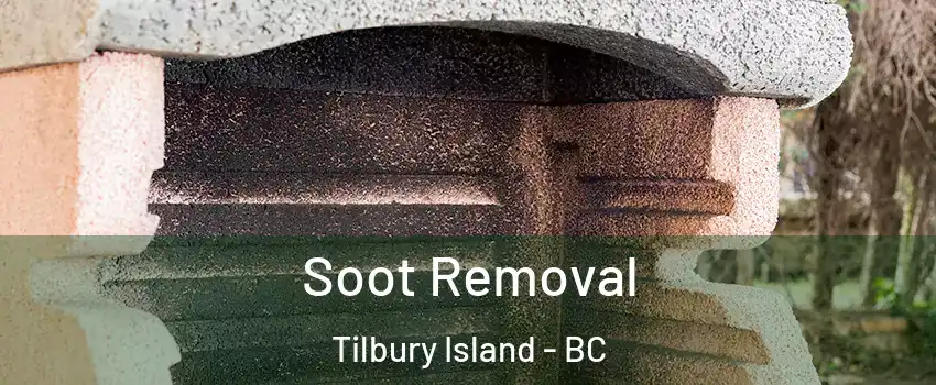  Soot Removal Tilbury Island - BC