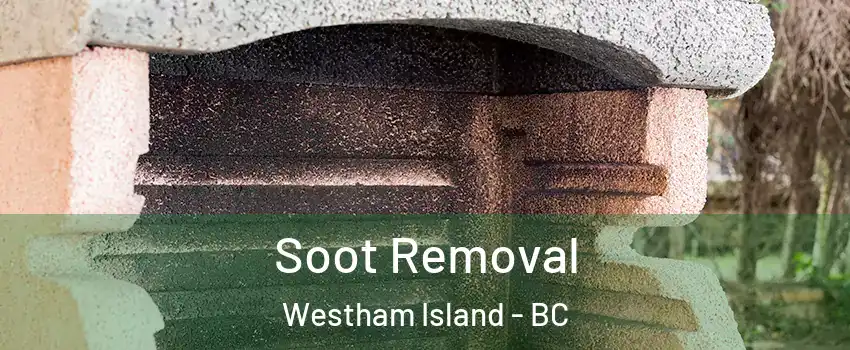  Soot Removal Westham Island - BC