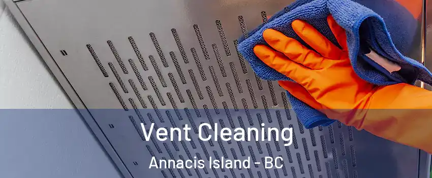  Vent Cleaning Annacis Island - BC