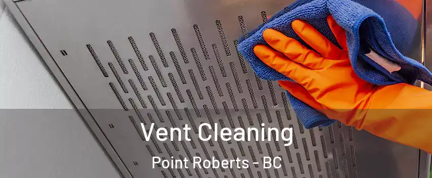 Vent Cleaning Point Roberts - BC
