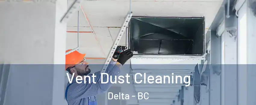  Vent Dust Cleaning Delta - BC