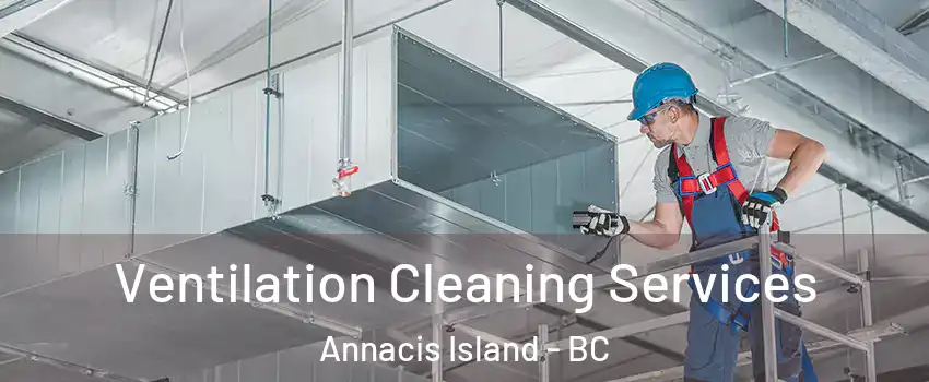  Ventilation Cleaning Services Annacis Island - BC