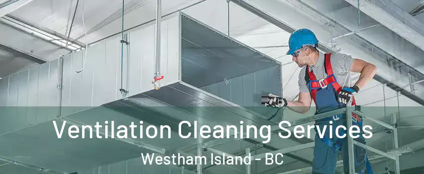  Ventilation Cleaning Services Westham Island - BC