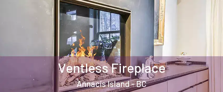  Ventless Fireplace Annacis Island - BC