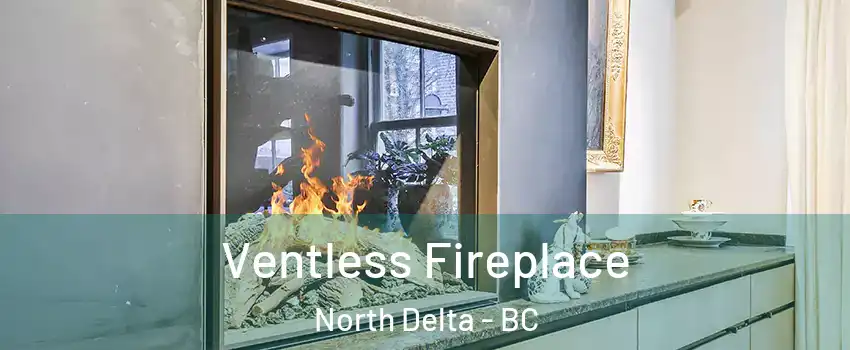  Ventless Fireplace North Delta - BC