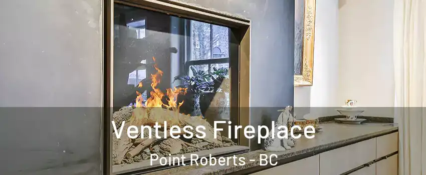  Ventless Fireplace Point Roberts - BC