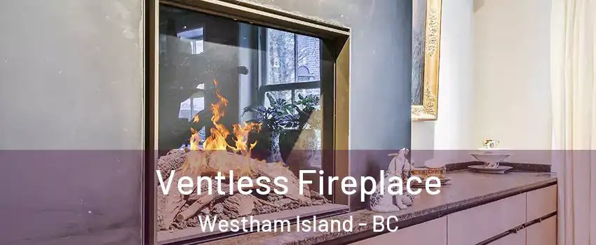  Ventless Fireplace Westham Island - BC