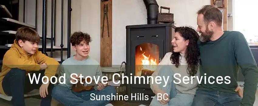 Wood Stove Chimney Services Sunshine Hills - BC