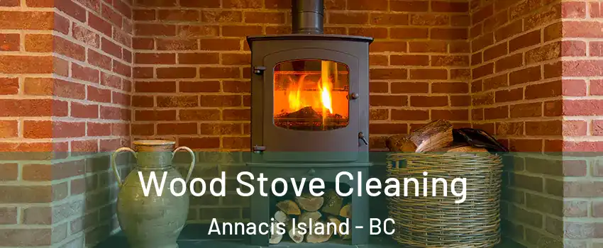  Wood Stove Cleaning Annacis Island - BC