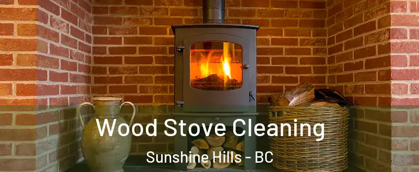  Wood Stove Cleaning Sunshine Hills - BC