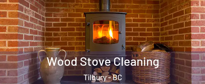  Wood Stove Cleaning Tilbury - BC