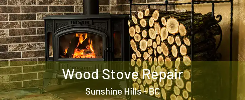  Wood Stove Repair Sunshine Hills - BC
